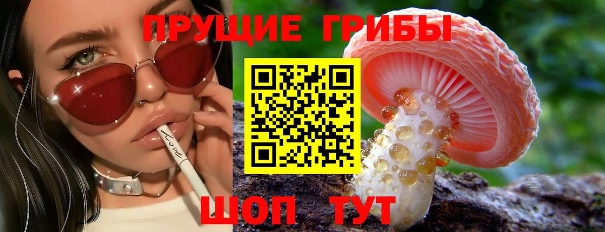 Псилоцибиновые грибы MAGIC MUSHROOMS Пугачёв