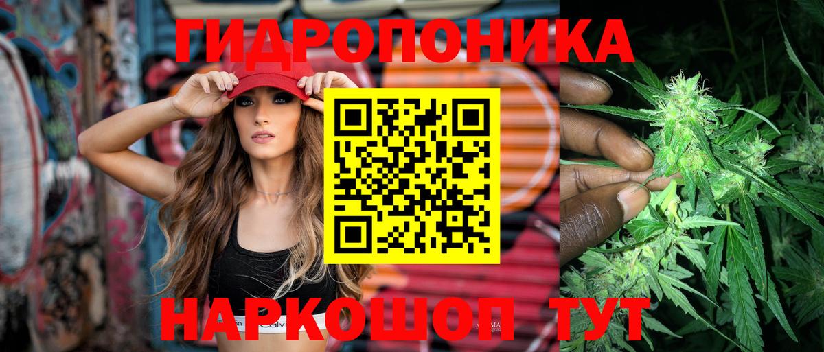 Конопля планчик Пугачёв